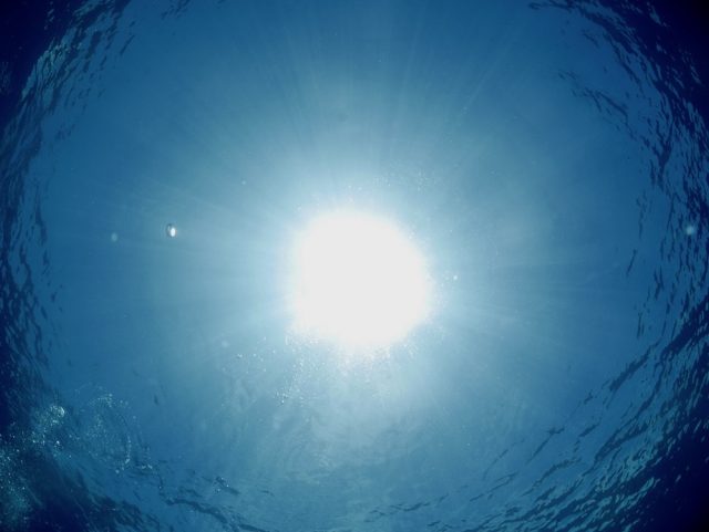 本島南部!