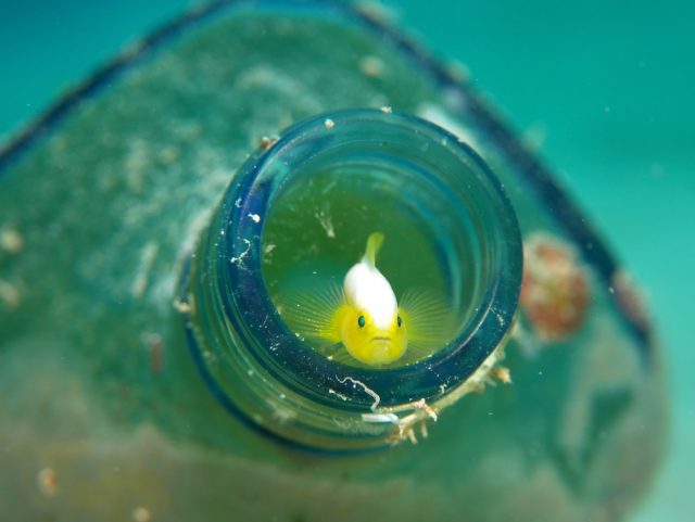 北部ビーチ