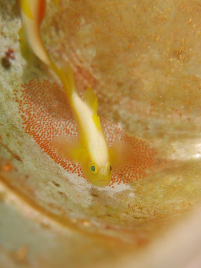 着後ビーチへ!