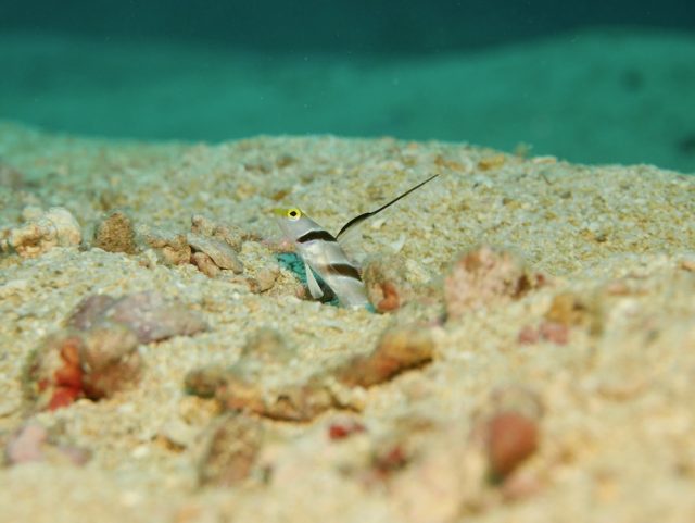 沖縄本島沿いのポイントへ